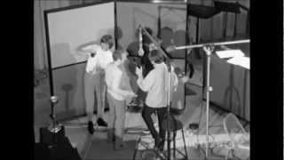 The Beach Boys-Good Vibrations Sessions