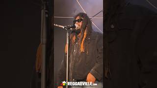 Mortimer Tippy I-Grade - Nice Up Di Scene Live In Dortmund