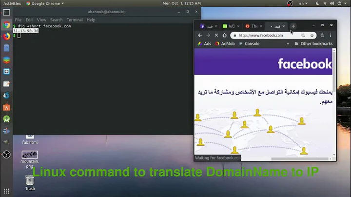 Linux command to translate DomainName to IP