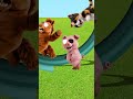 まんまと罠にかかってしまう踏切アニマル #Shorts