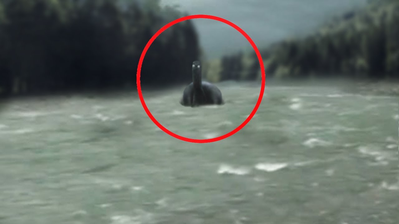 12 Extinct Creatures People Believe Are Still Out There YouTube 12-extinct-creatures-people-believe-are-still-out-there-youtube