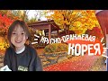Домашний влог^^ Корейская осень и блюдо из тыквы от Сонгына:) KOREA VLOG