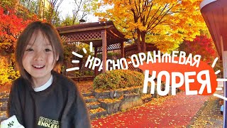 Домашний влог^^ Корейская осень и блюдо из тыквы от Сонгына:) KOREA VLOG