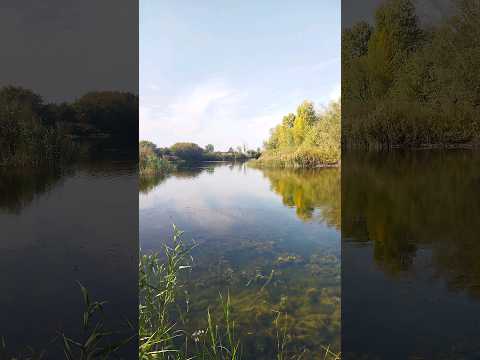 Video: Eruslan Nehri: akış ve özellikler