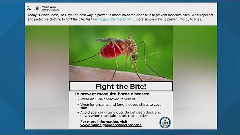 Sunday is World Mosquito Day