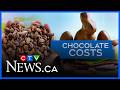First at Five: Chocolate Costs