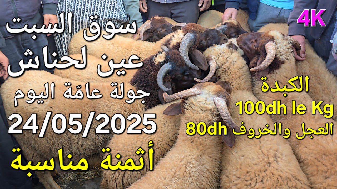 أثمنة الغنم والدجاج والخضر واللحوم سوق سبت عين لحناش اليوم 24/05/2025