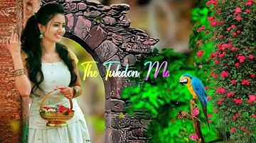 New Trending Nature Status Video Editing // Kinemaster Video Editing Tutorial