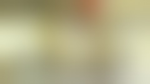 P.R.I.C.E(Indie-Horror) Walkthrough 100% English (No Commentary)