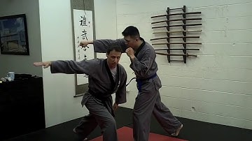 Foundations of Sinmoo Hapkido: Episode 29 - Punch Block and Sword Draw