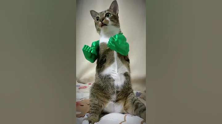 Watch the video about Cat wearing a toy hand#cat #catsoftiktok #catlover #funny #funnyvideos #foryou #fypage #fyp