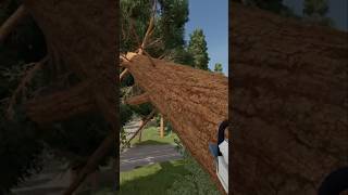 🌲 35.7 Metrelik Dev Sekoya! Tam 60 Tonluk Ağacı Devirdik! | FS25 #fs25 #fs25rehber