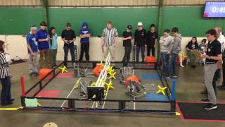 Q55 5588E 1727F vs 7135B 5839E  Match