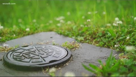 Can tracking COVID-19 infections through testing sewage help find the disease before nose swabs?