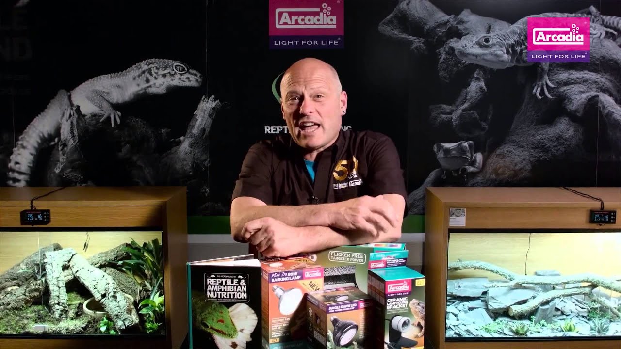 Dr Mike Leahy welcomes you to Arcadia Reptile