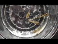 鳳凰 種親