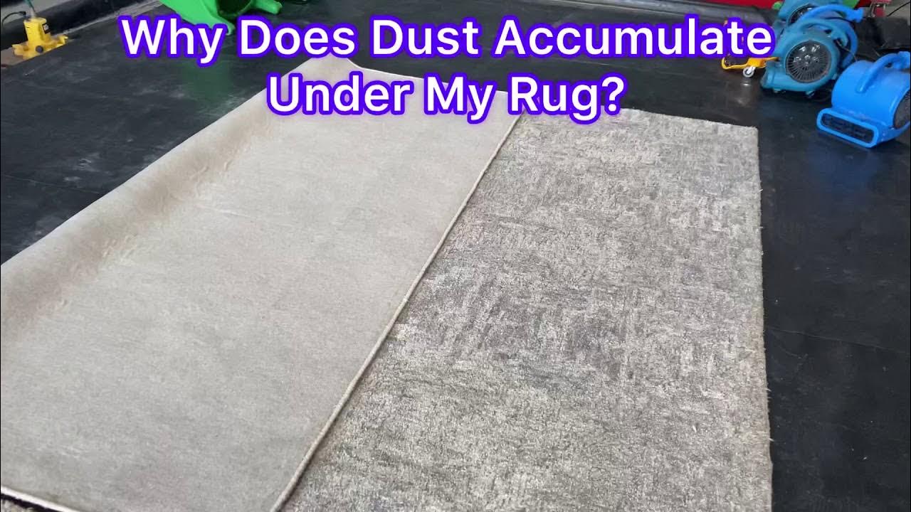 Why Does Dust Accumulate Under Your Rug?🤔 YouTube