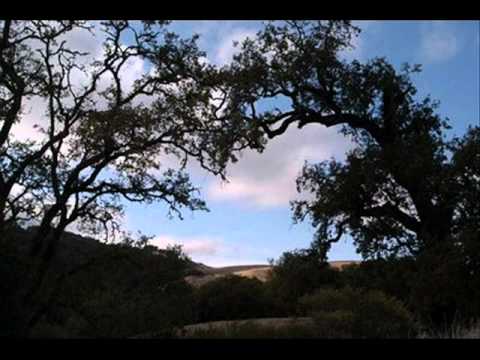 الشيخ عبد التواب عمارة و تلاوة قديمه