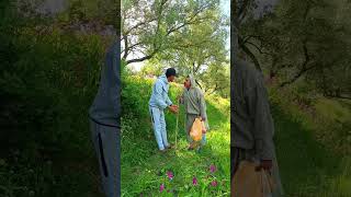 97K views · 2 9K reactions   الله يكون فعوان درويش 😥❤️   Nihade azedine