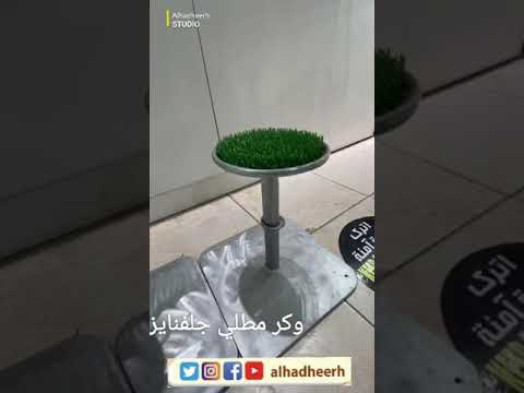 وكر حامل الصقر