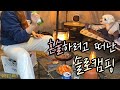 [술상로그] 캠핑VLOG | 술맛 끝내주는 솔로캠핑, 저렴이 티피텐트 개봉기, 쉘터+야전침대 모드로 첫 솔캠, 한우등심&자연산 홍합탕에 소주 술먹방 | Solo camping