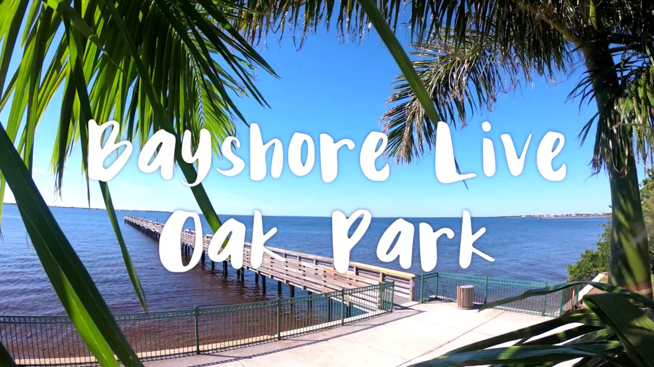 Explore Bayshore Live Oak Park Playground YouTube