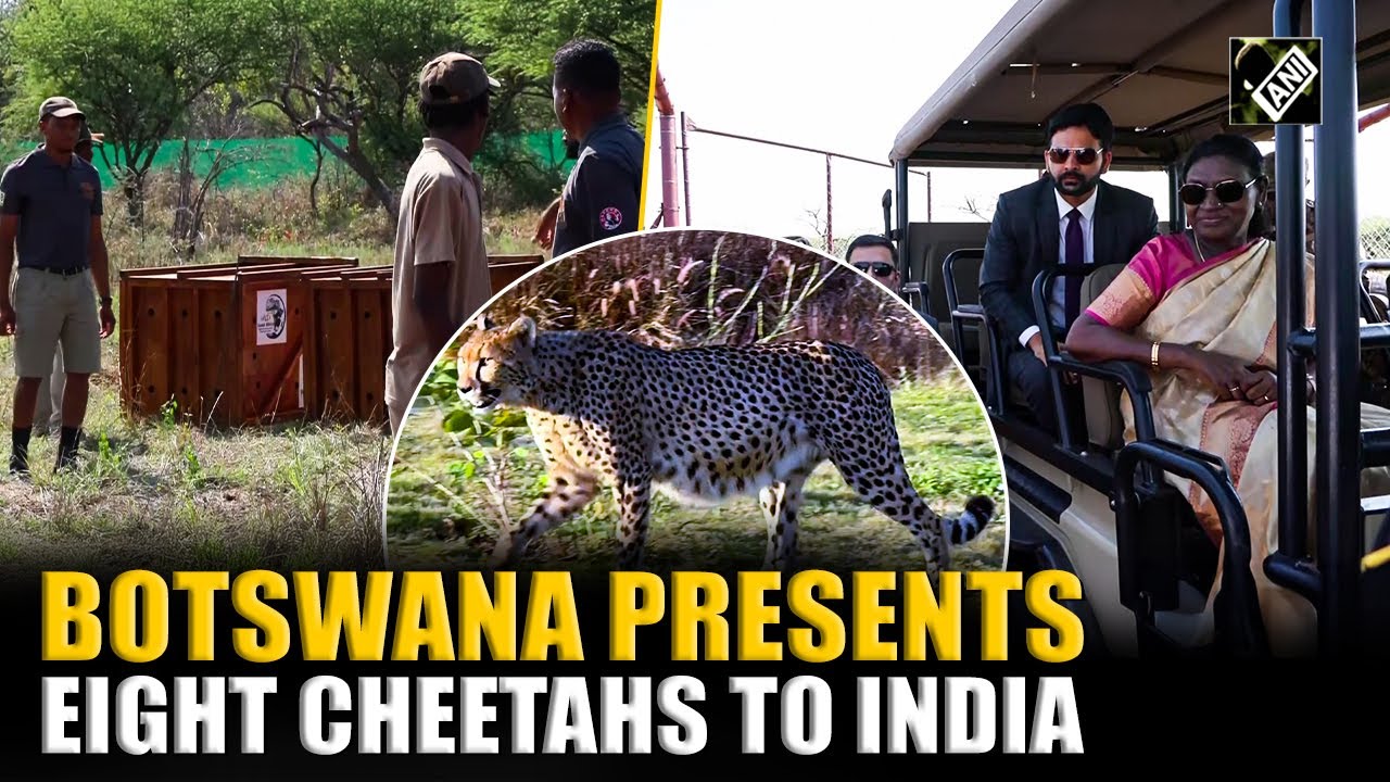 Botswana hands over 8 Cheetahs to India in presence of Prez Droupadi Murmu in Gaborone