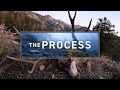 The process  a mountain mule deer hunt