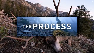 “The Process' – A Mountain Mule Deer Hunt