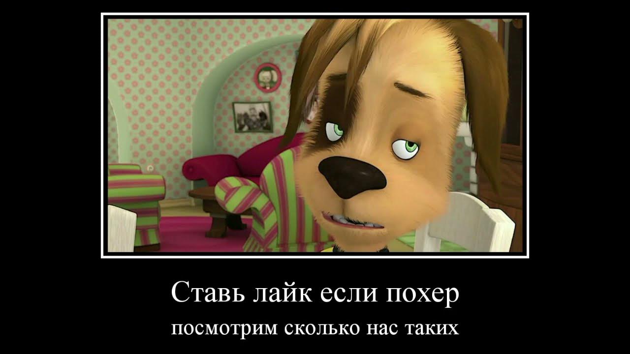 Мемы про барбоскиных смешные до слез