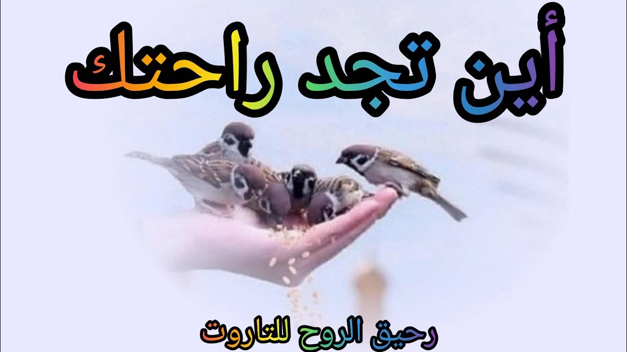 #اختر_كارت أين تجد راحتك عمليا ماديا عاطفيا نفسيا ورحانيا