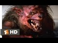 Fright night 1985  the death of evil ed scene 710  movieclips