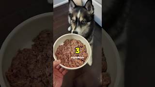3 things to look for in raw dog food 🐶