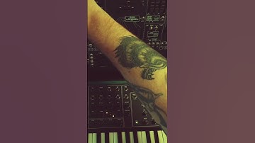 always sliders - PWM Malevolent / Makenoise Strega & 0Coast / ARP 2600 #experimental #synth #jam