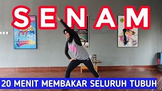 SENAM AEROBIK 20 MENIT MENURUNKAN BERAT BADAN | REVIEW M1 NEW GAINER \u0026 SHAKER