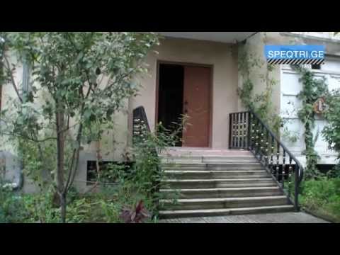 ვირთხები მუნიციპალურ შენობაში