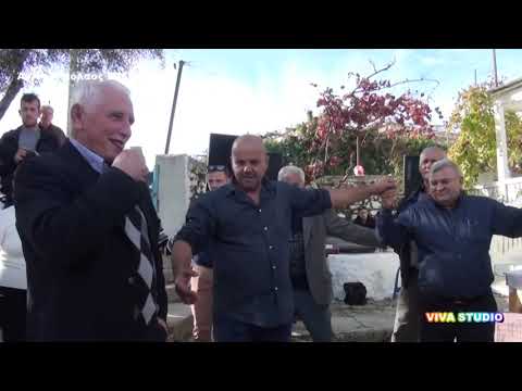 VIVA STUDIO HD