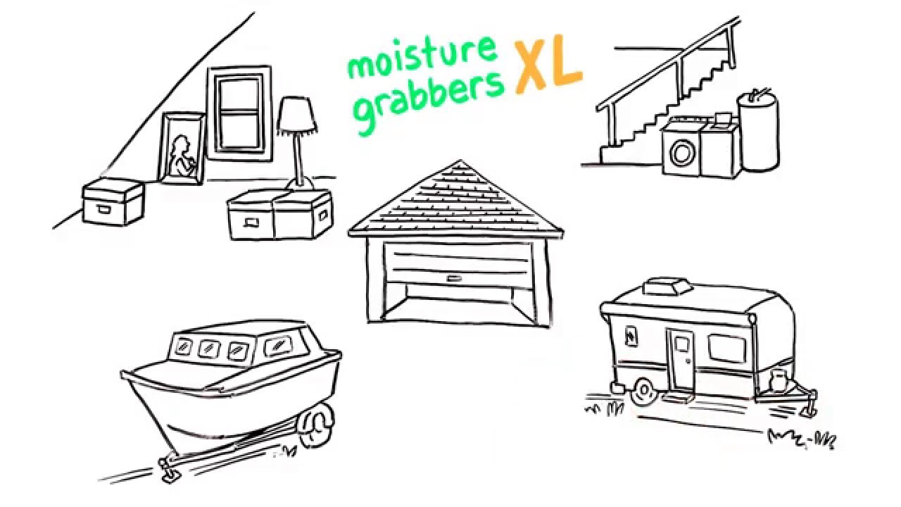 Introducing Concrobium Moisture Grabbers - YouTube
