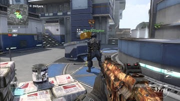 Bot Ts (BO2)