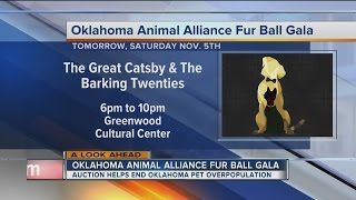 Pet gala auction helps end Oklahoma pet overpopulation