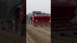 Kartoffellegen mit Steyr und Grimme