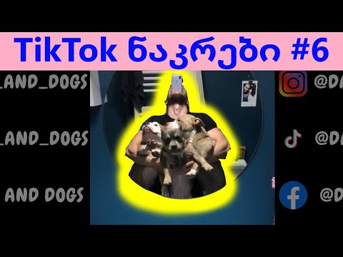 TikTok ნაკრები #6 - ახალი ტიკტოკები @DavidAndDogs