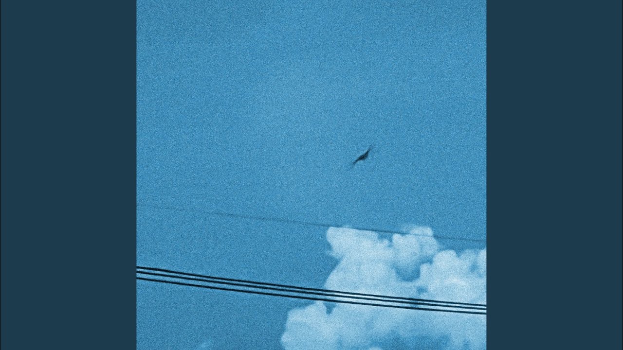 Guarda 野鳥 su YouTube Guarda 野鳥 su YouTube