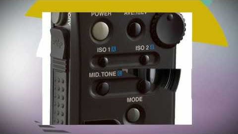 Sekonic L-758Cine Light Meter (Black)