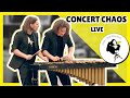 Louies cage percussion  concert chaos live  musikverein vienna