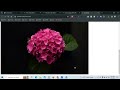HTML Image Maps and Background Image