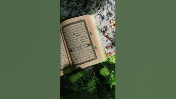 #تلاوات_الحَرَم #اكسبلور #المصحف #راحة_نفسية #القرآن_الكريم #لايك
