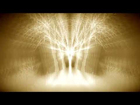 Lan/cet - Stay Out Of My Mind