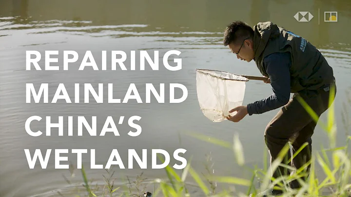 Saving mainland China’s wetlands and endangered plants and animals - DayDayNews