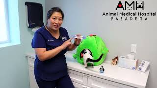Andrea Hsu, DVM at Animal Medical Hospital of Pasadena